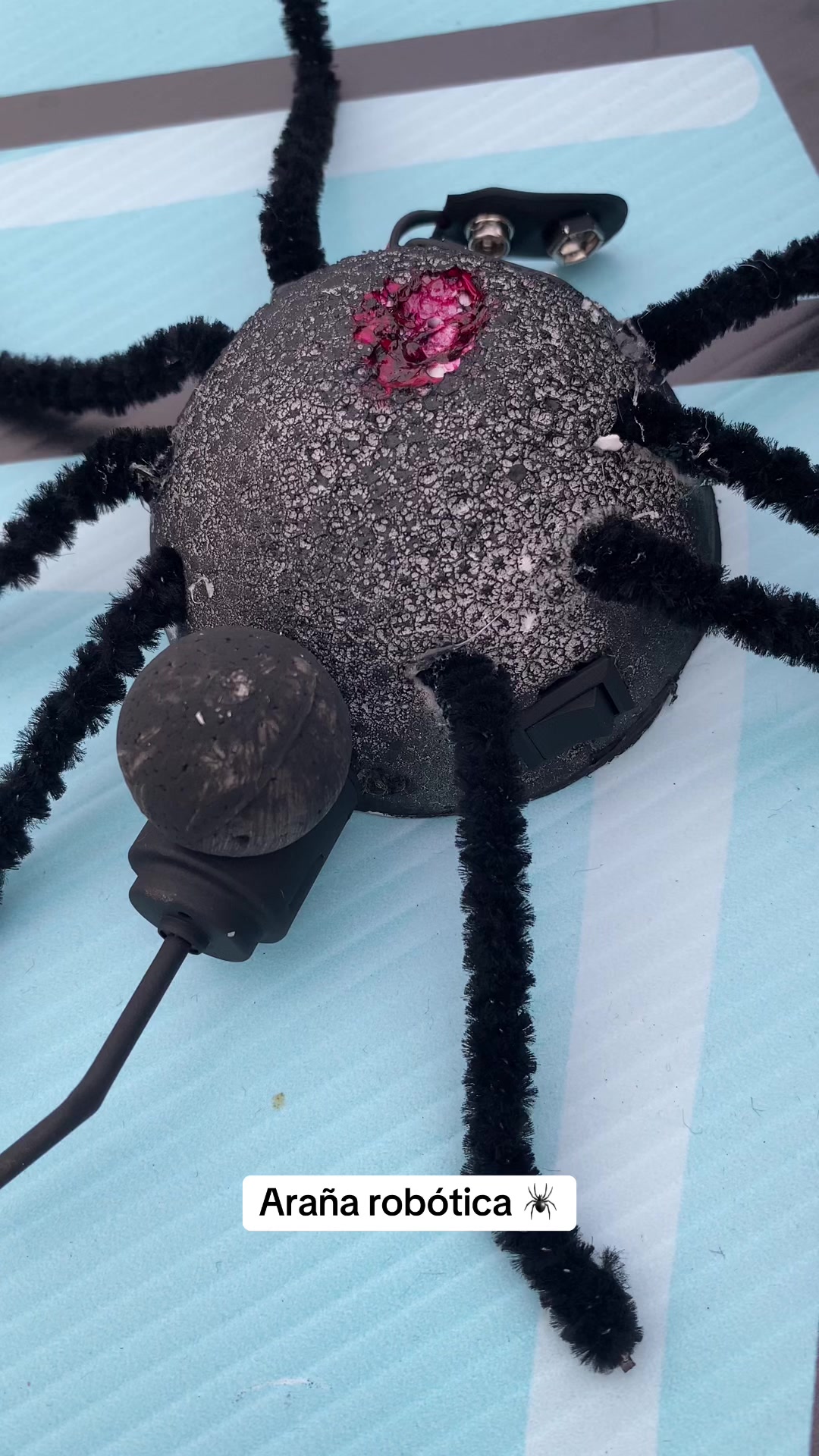 @Ibonne  Guzm&aacute;n 💎🐍