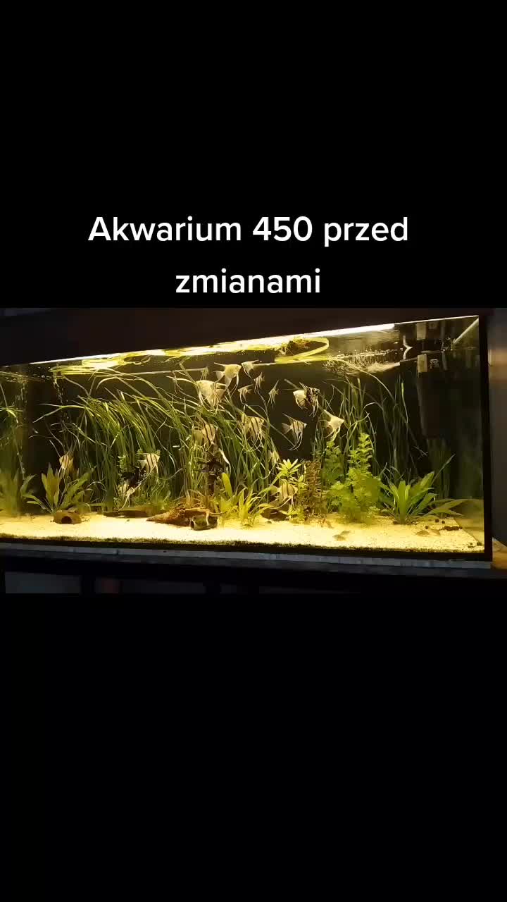 @🐟Mój wodny świat🐟