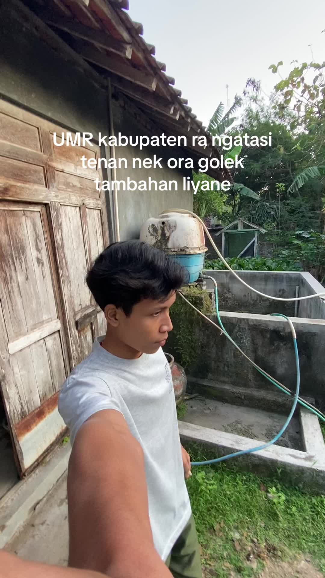 @zal