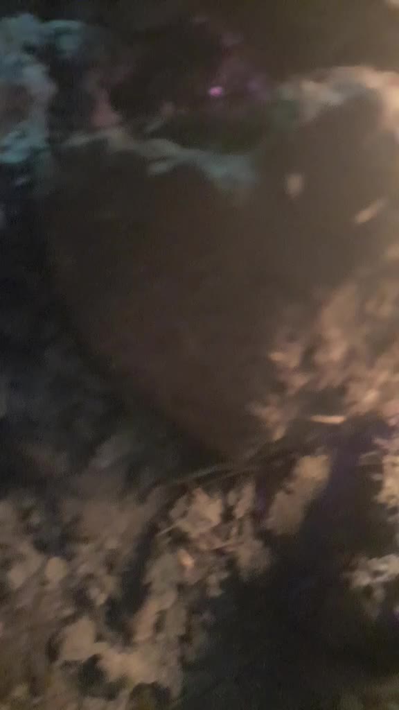 @Dhillon _1313