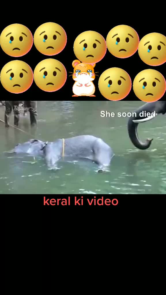 @Thakurprincerajput