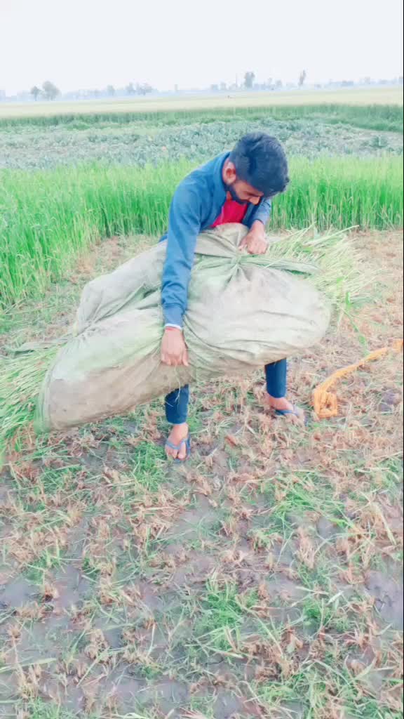 @pk sama