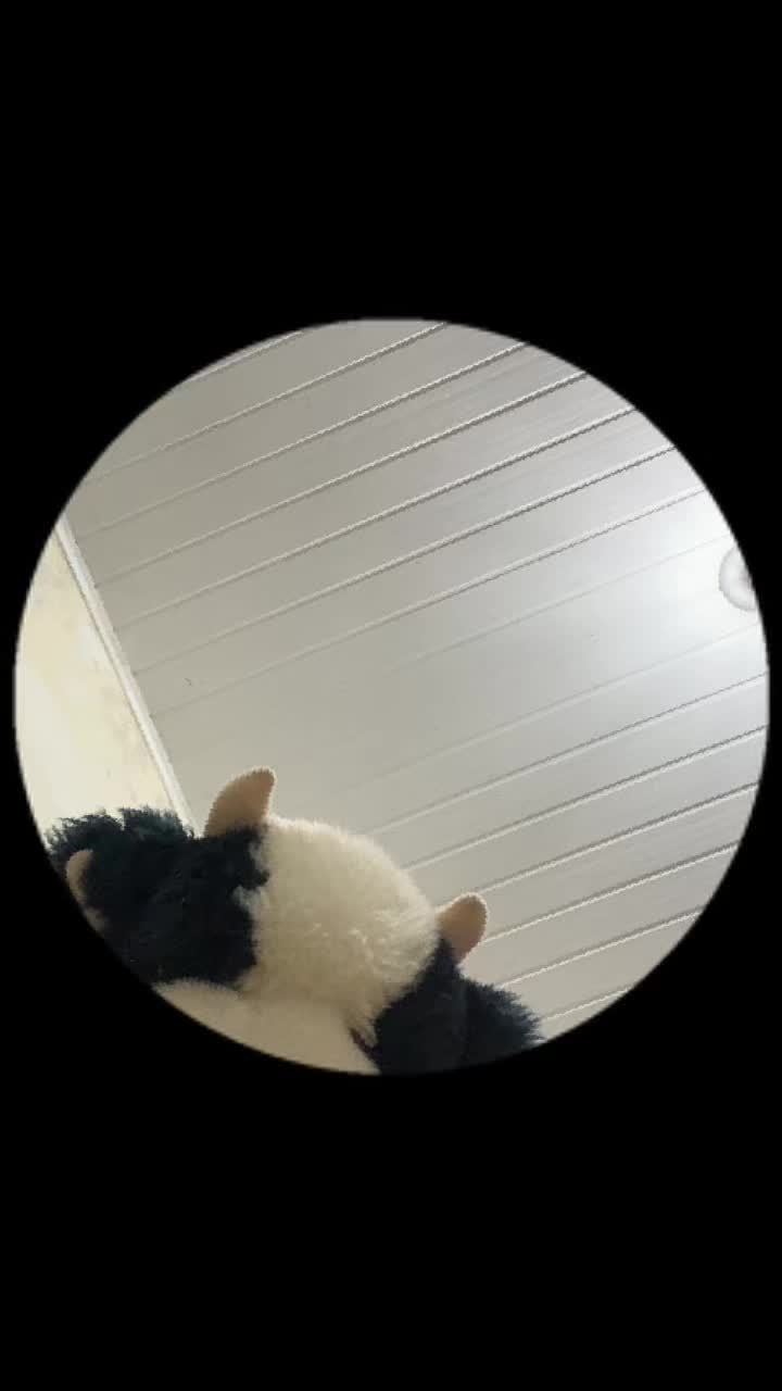 @Trending