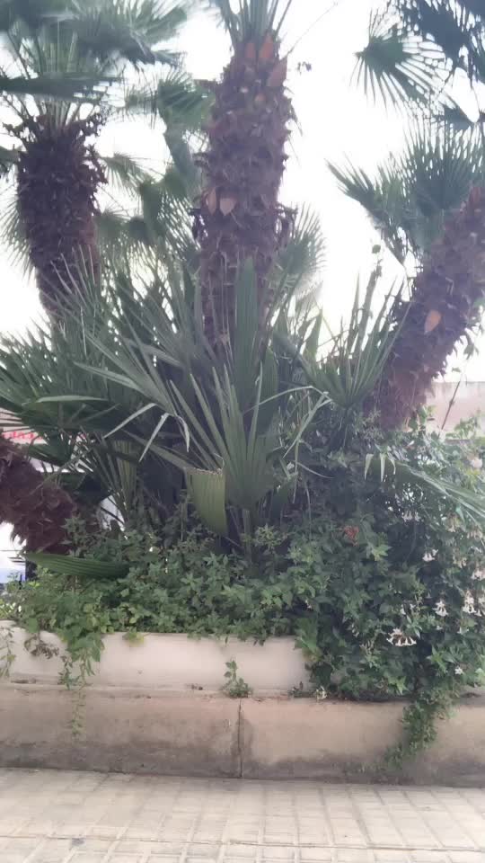 @user8994717634692