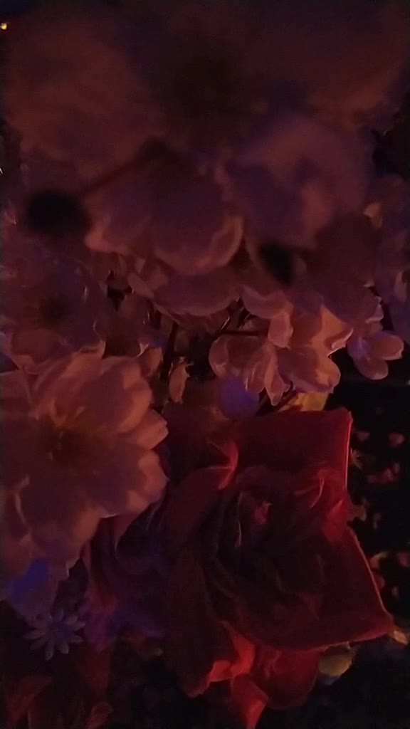 @Dhruv gupta