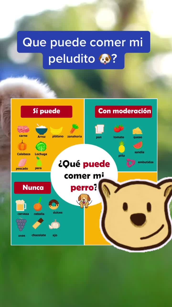 @mascotasfelices