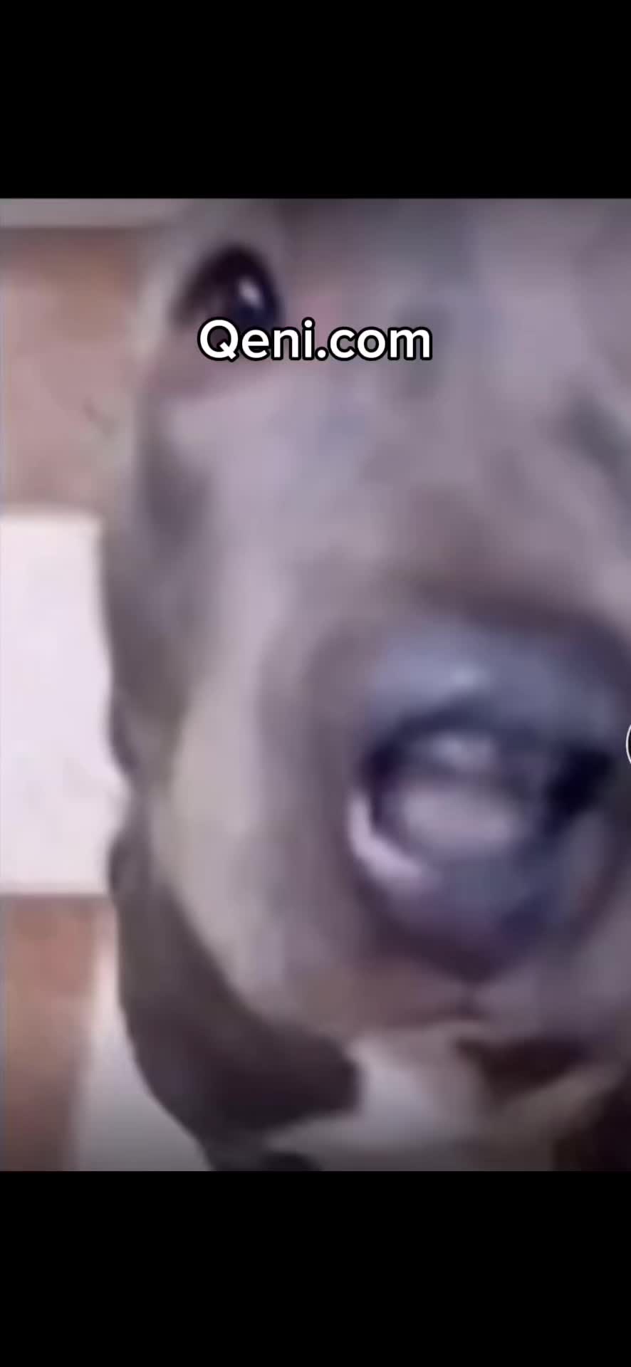 @Krypa_EXE