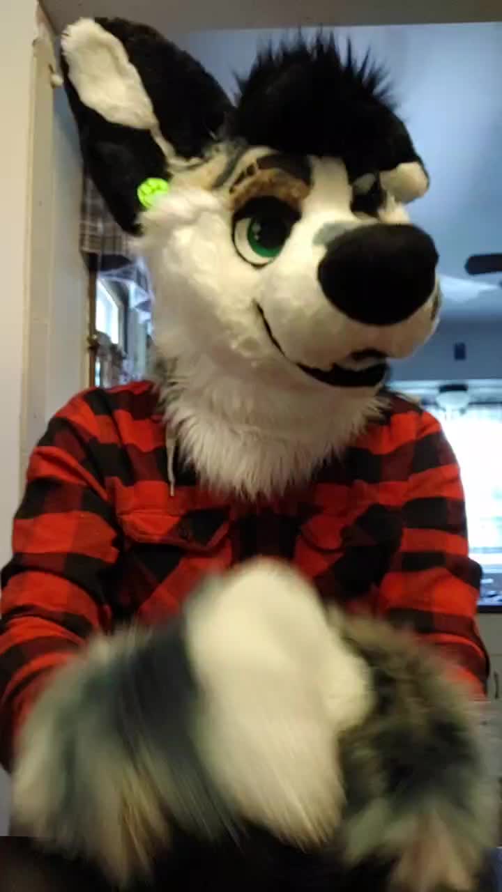 @Ryker_Mutt