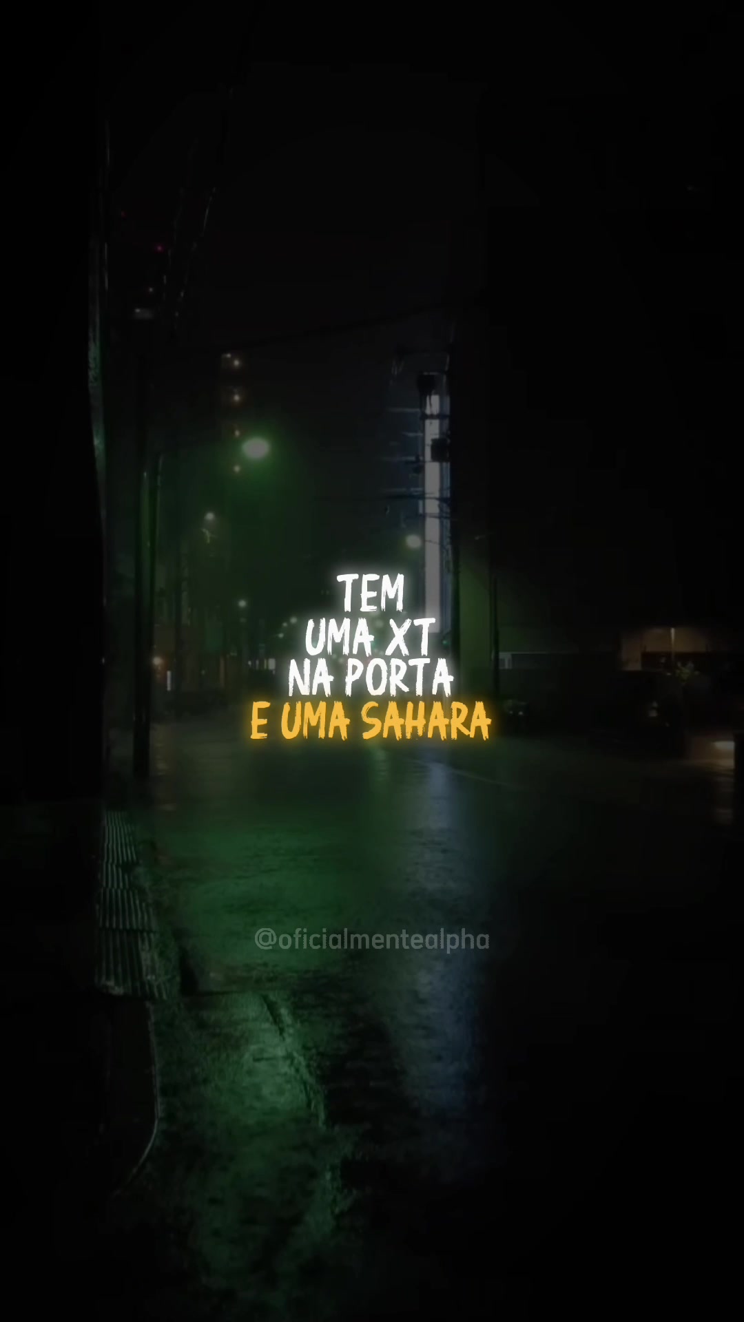 @OFICIALMENTE ALPHA