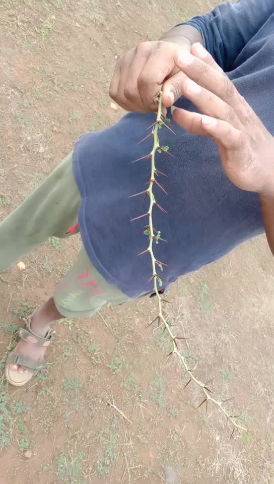 @Jagadeesh Chikolu