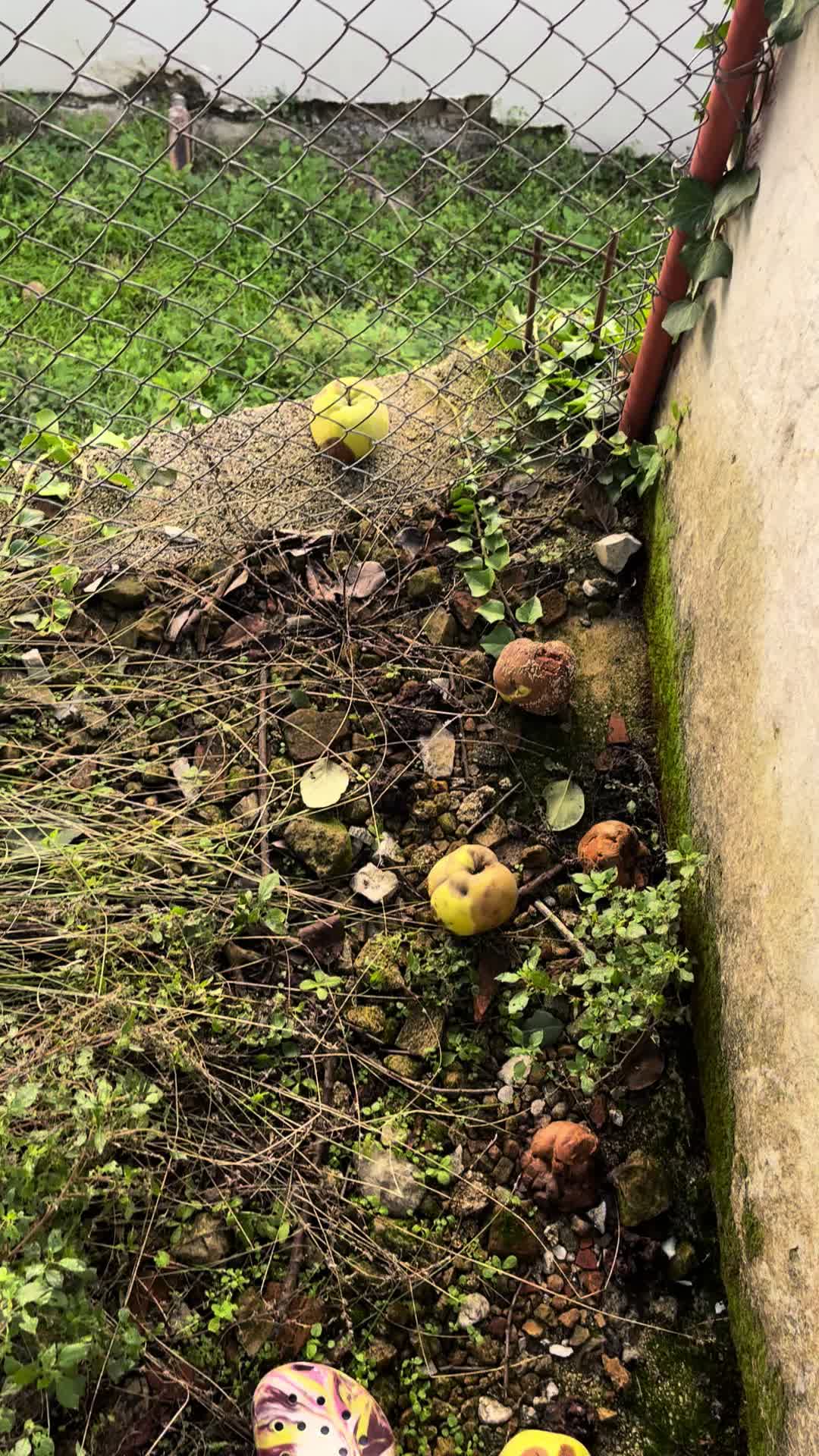 @Marie