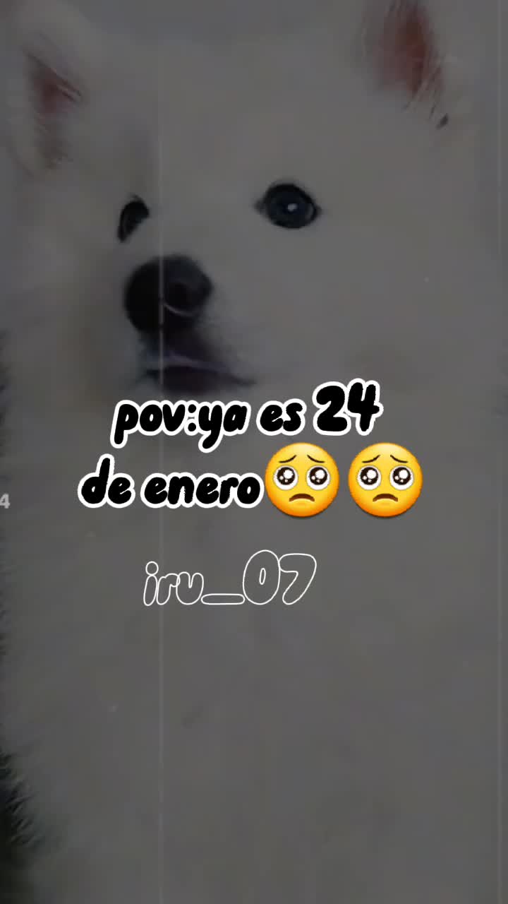 @iru