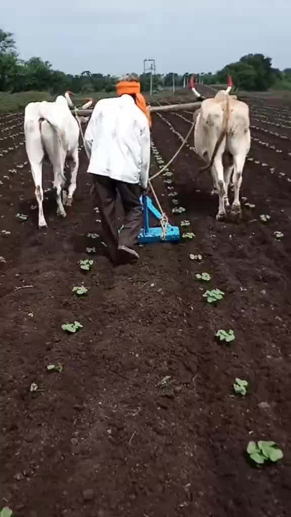 @Balaji kundgar