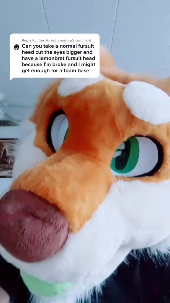 @CookieShiba