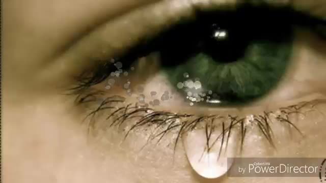 @krishan saini