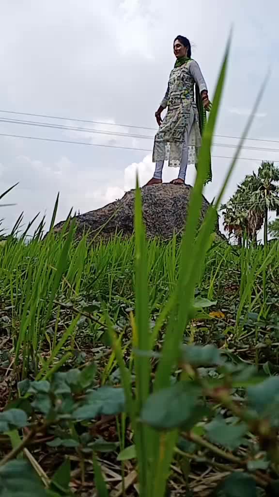 @anshu