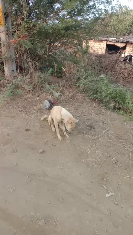 @user4928017100466