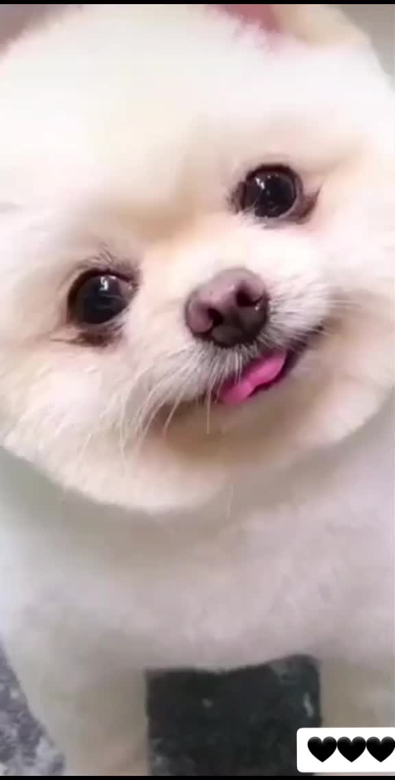 @Ň__Ô__Ô__Ř