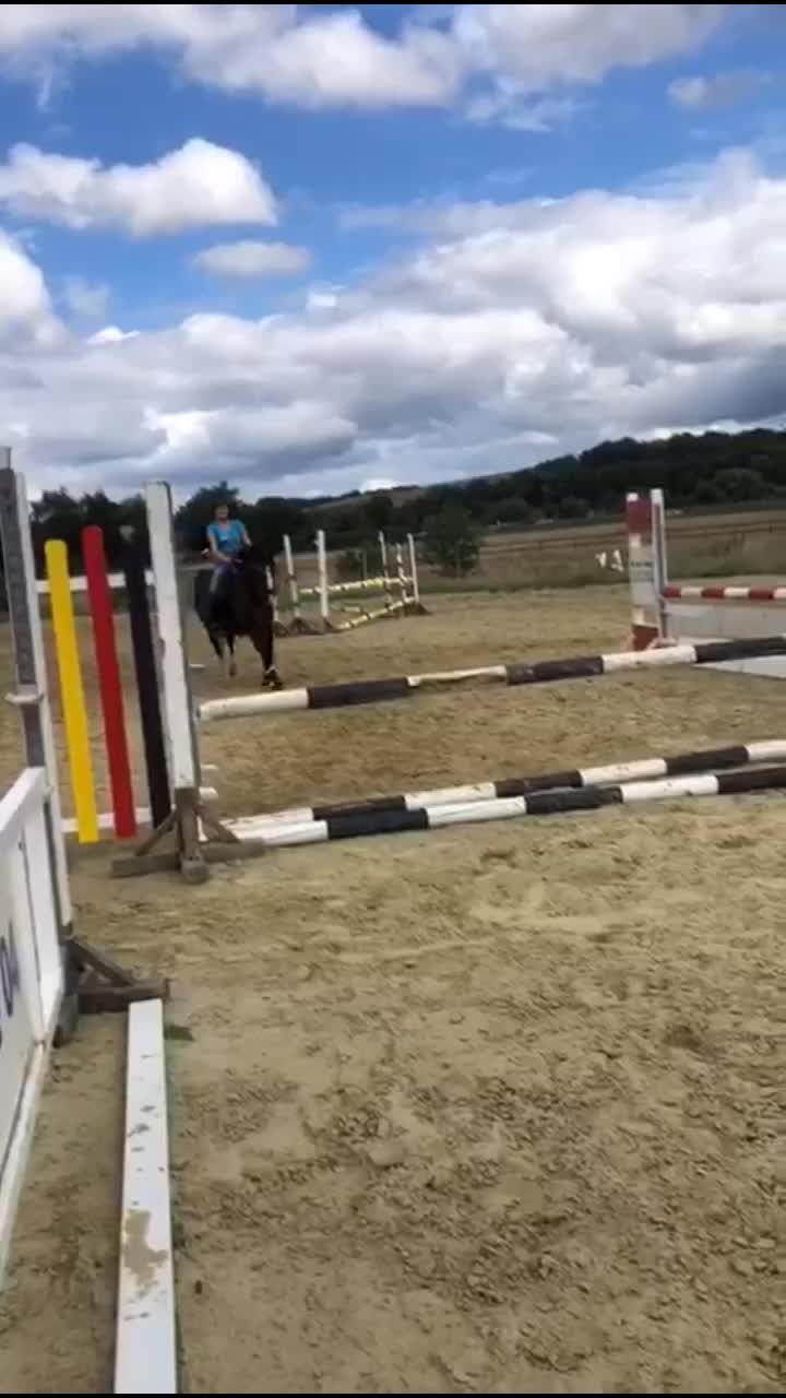 @Dressurpony🐴