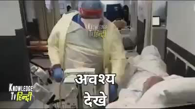 @papau papu