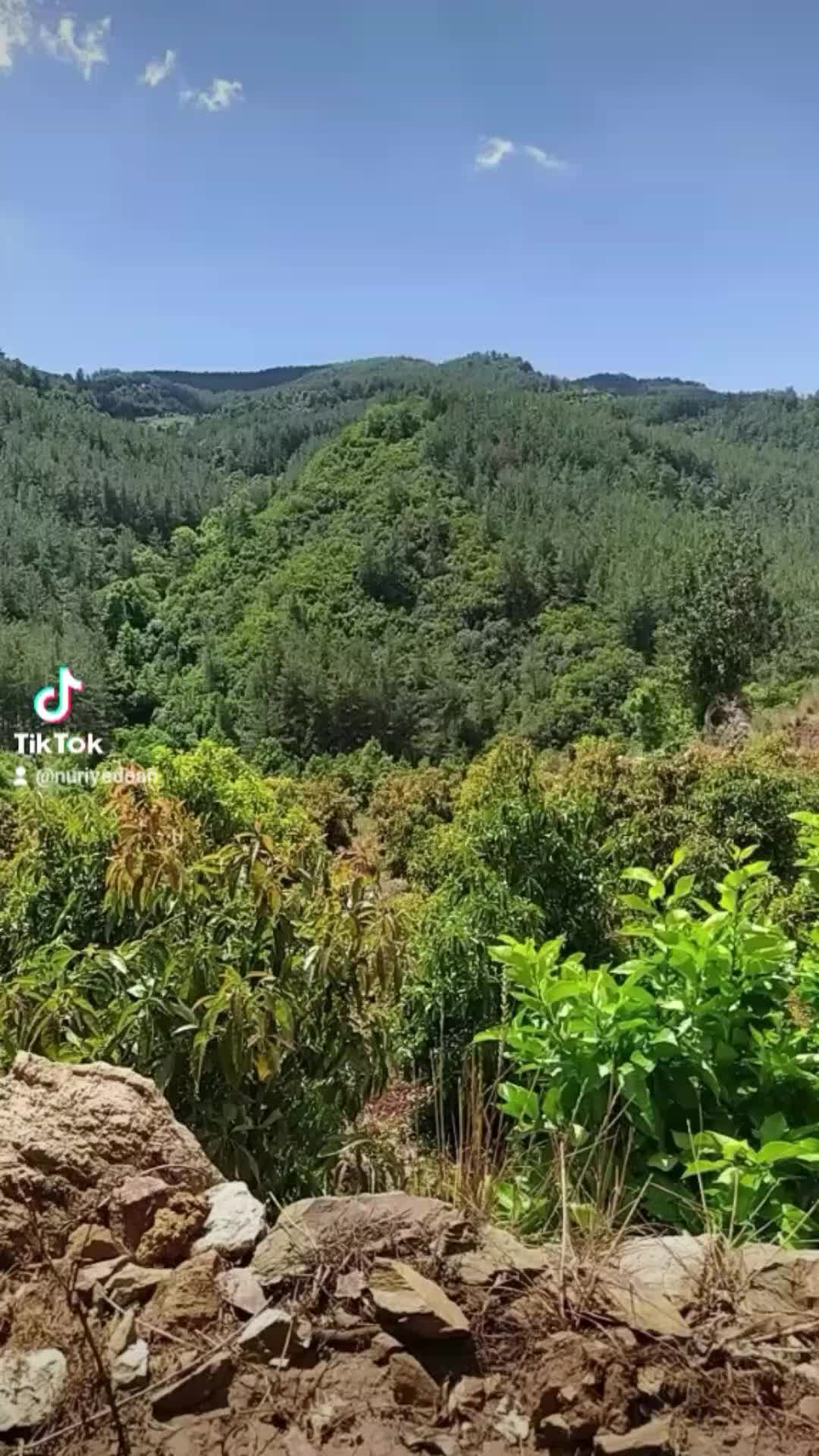 @Nursel Aydoğan