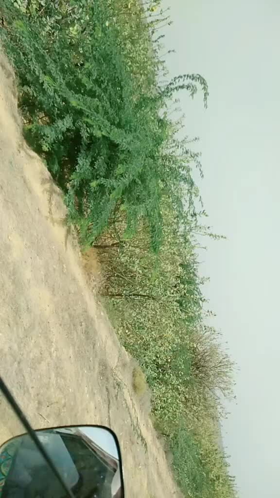 @Shahid