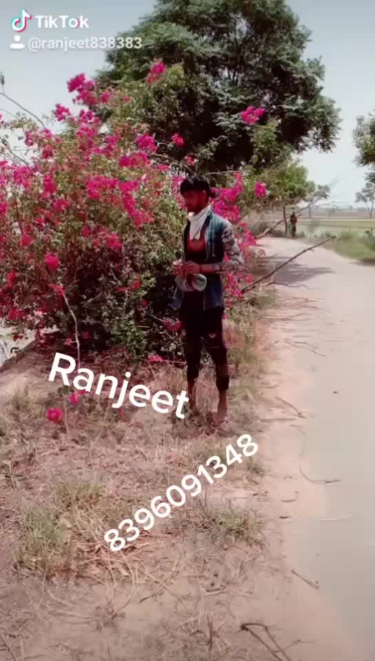 @Ranjeet 838383