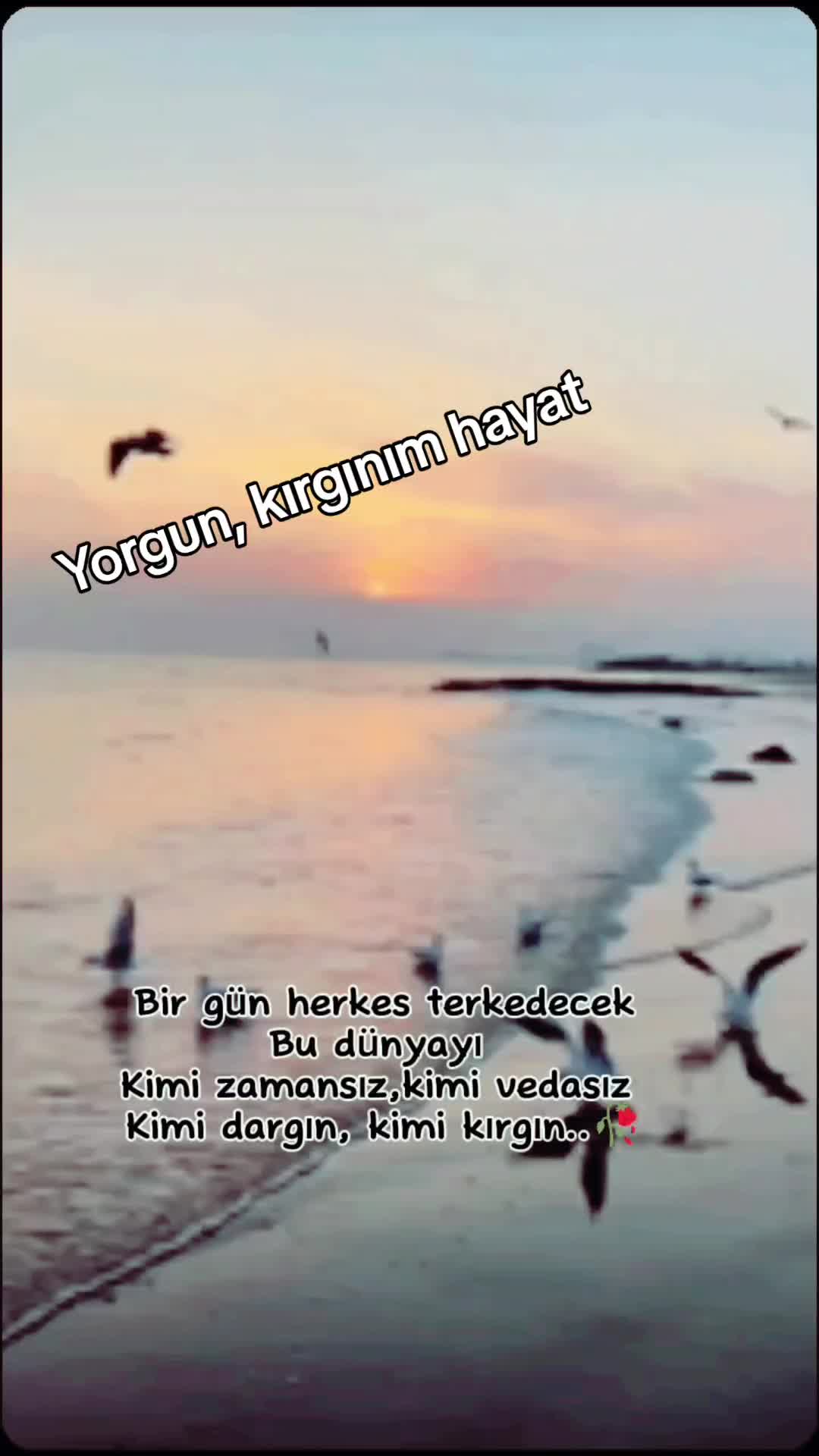 @Kader🌼🌹🍁🌷