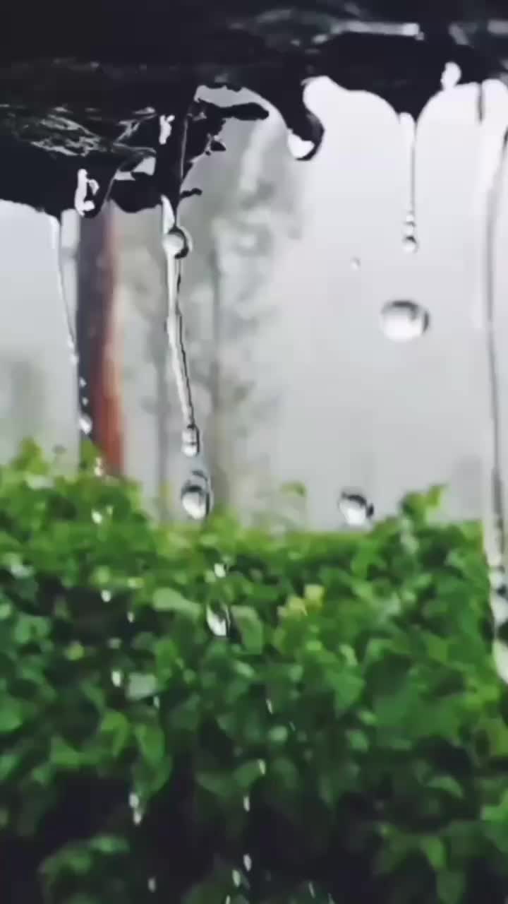 @ch.sripal143