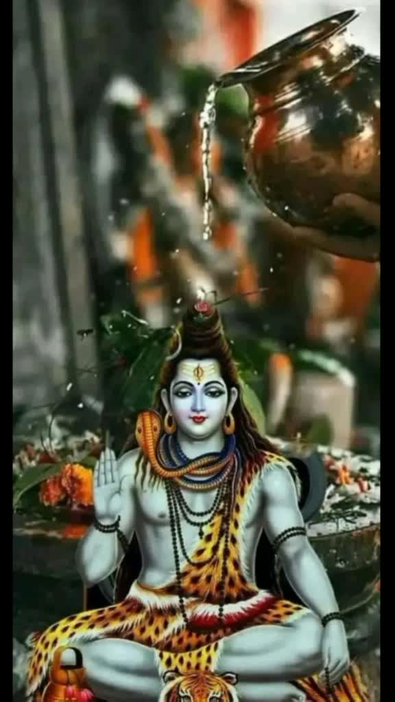 @AshaChaudhary249