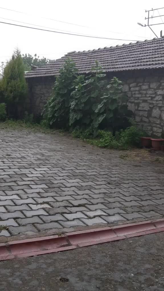 @Çağlar ÖMÜR