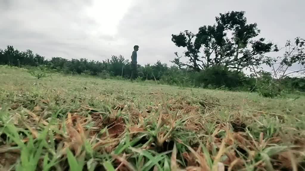 @Dancer Saran