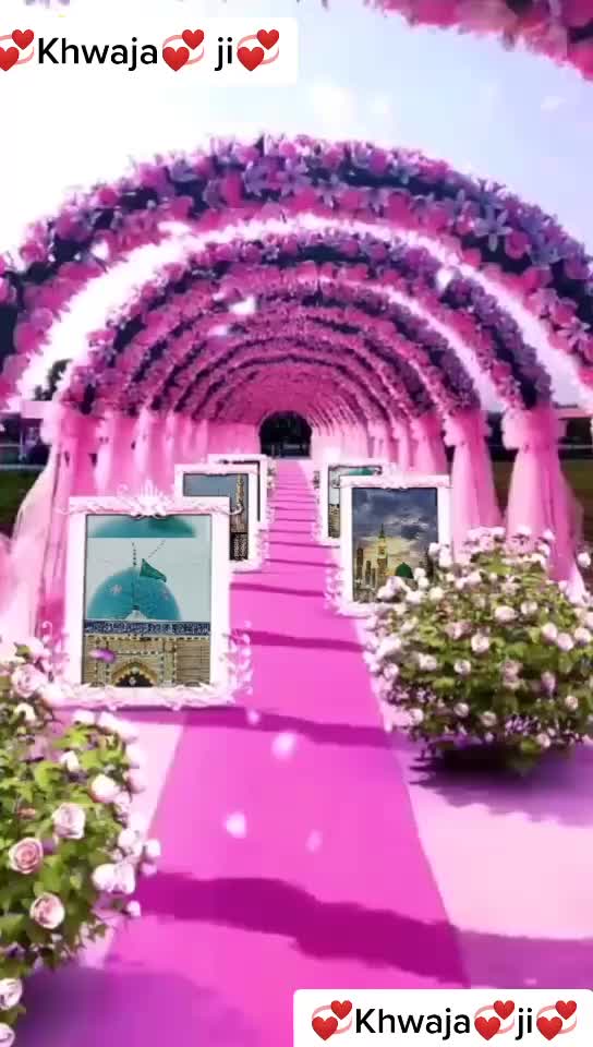 @๐ซ๐ูุงูุดุง ุดูุฎ_๐_ ุฃุตู ุธูุฑ๐๐ซ