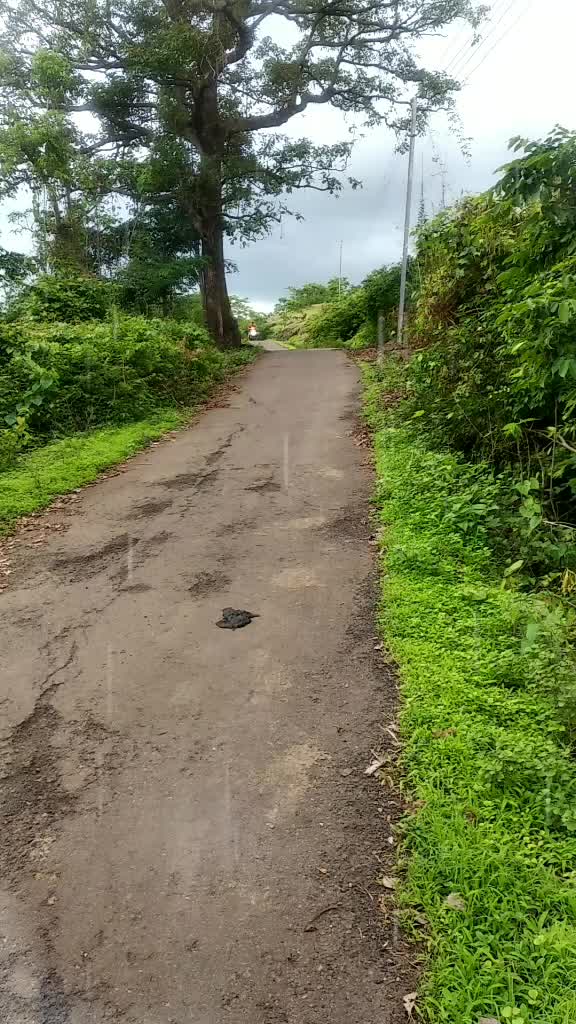 @Rushi Dadus