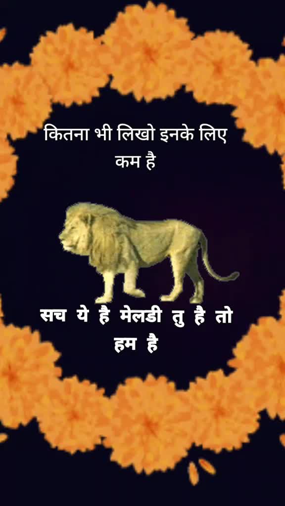 @@meldi_no_ladko@