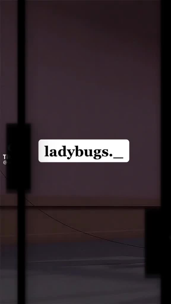 @🐞❣️Ladybug❣️🐞