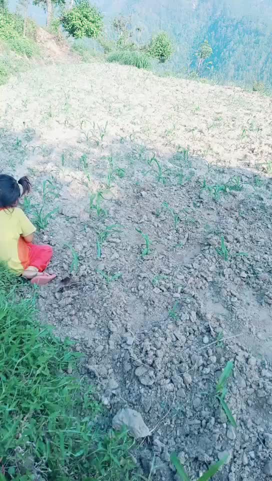 @Kavita Samant