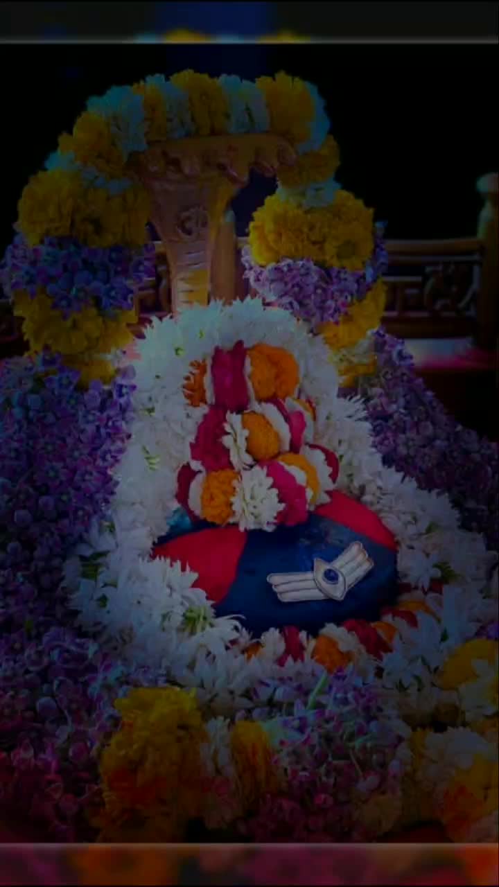@yash malviya
