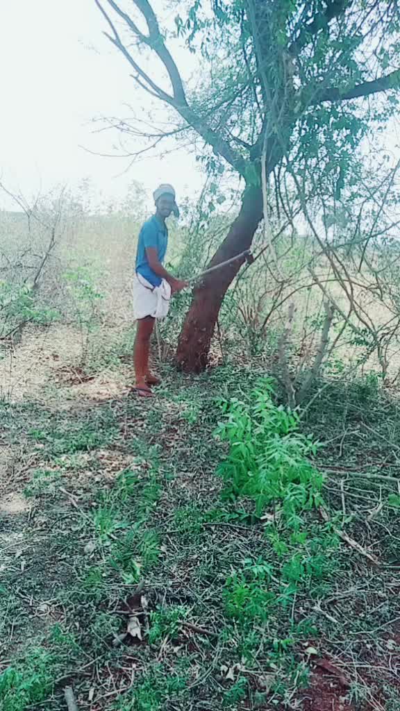 @Srikanth Kutikanti
