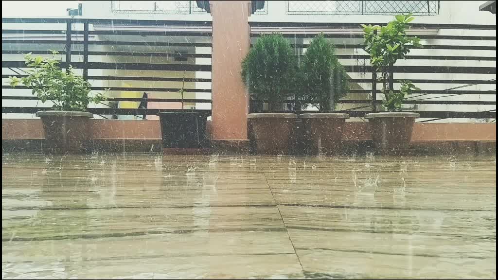 @🦋Manisha Rana🦋