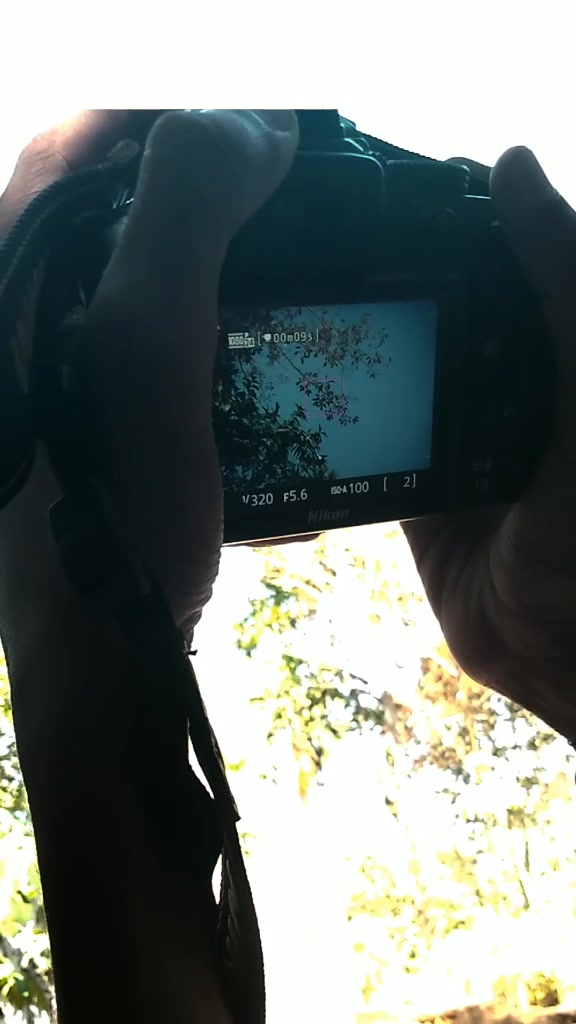 @_mr_photo_grapher_