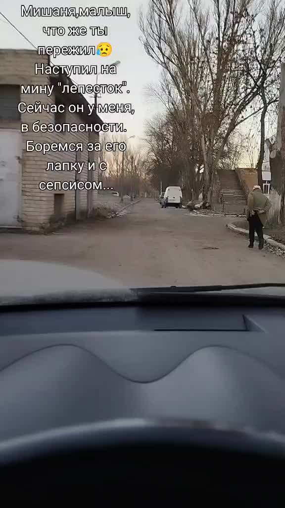 @irina.volik.donetsk.4LAPKI