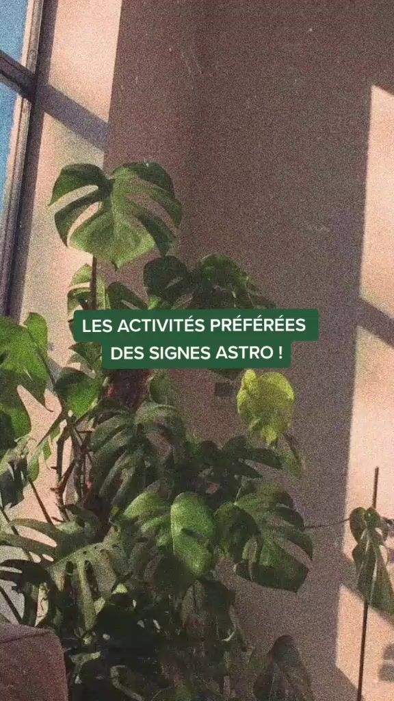 @𝐚𝐞𝐬𝐭𝐡𝐞𝐭𝐢𝐜