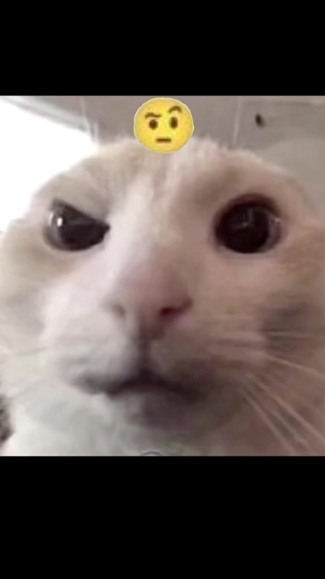 @Matefaciles