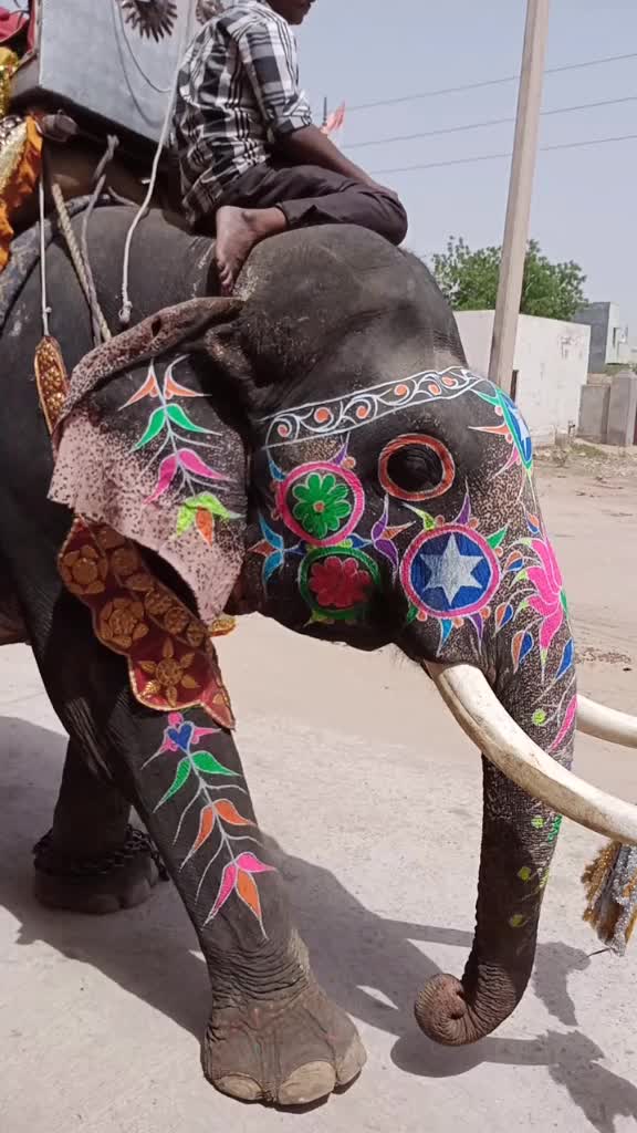 @⚡team_rajasthani 💥