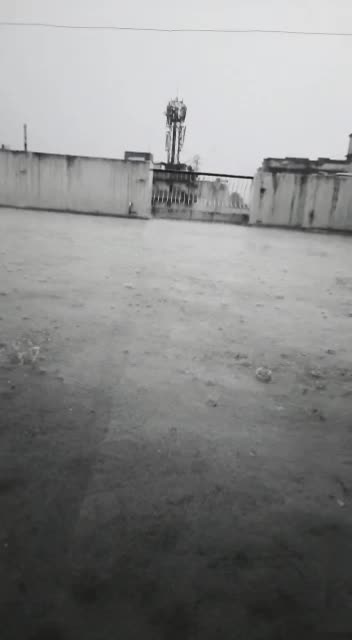 @तृप्ति केशरी💥