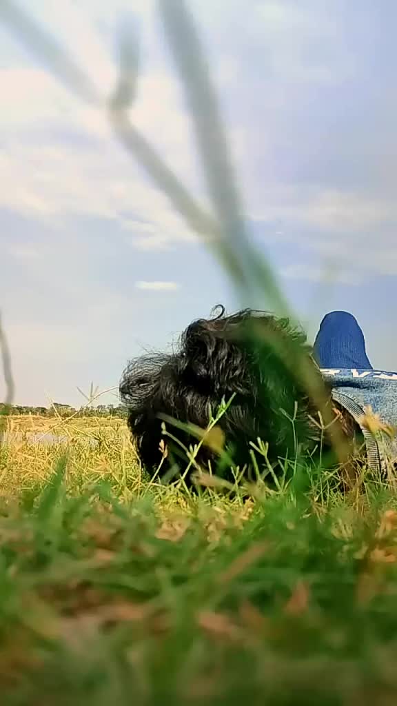 @Kõţêšh Rider