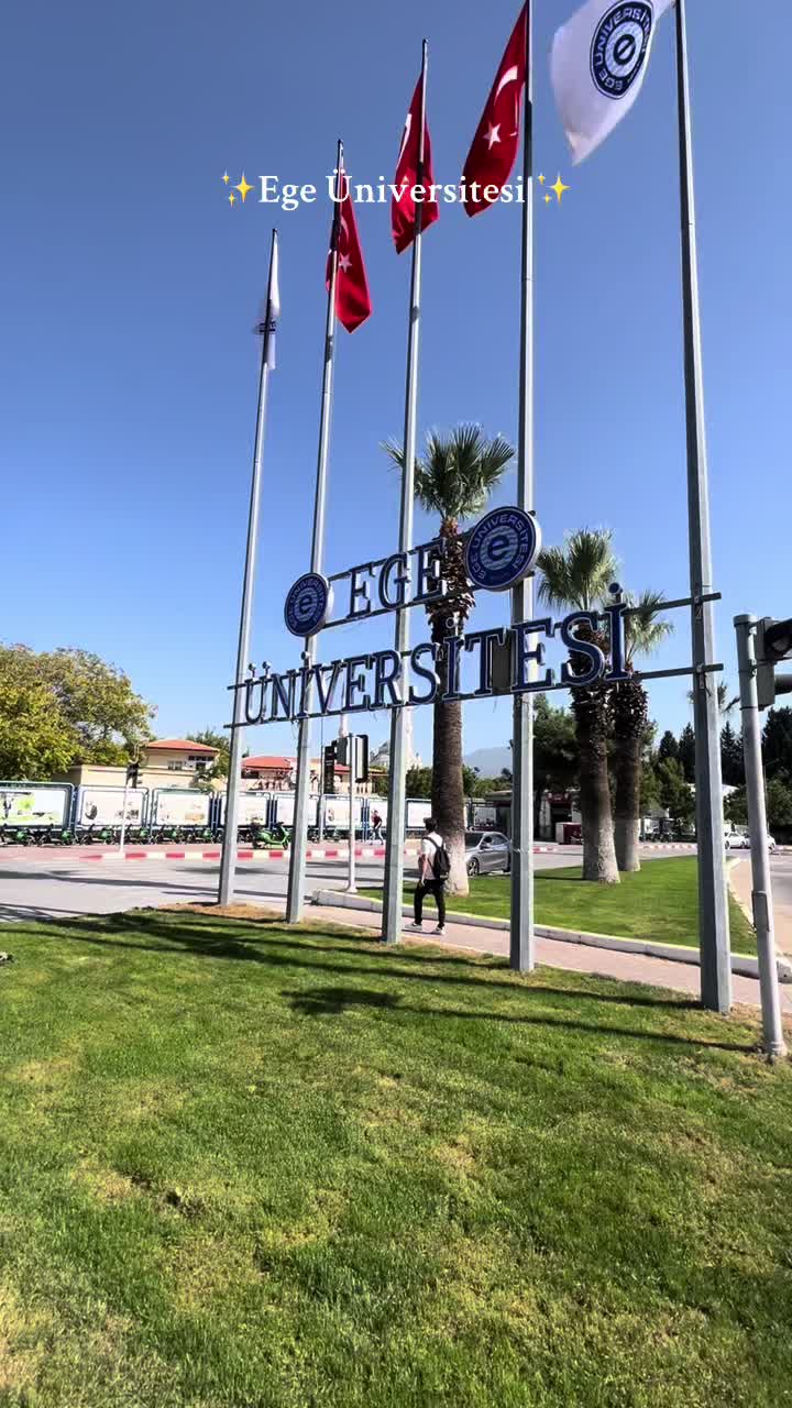 @ecekckzr