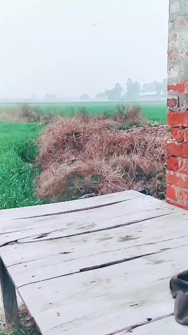 @Robin gahlyan (Jaat)