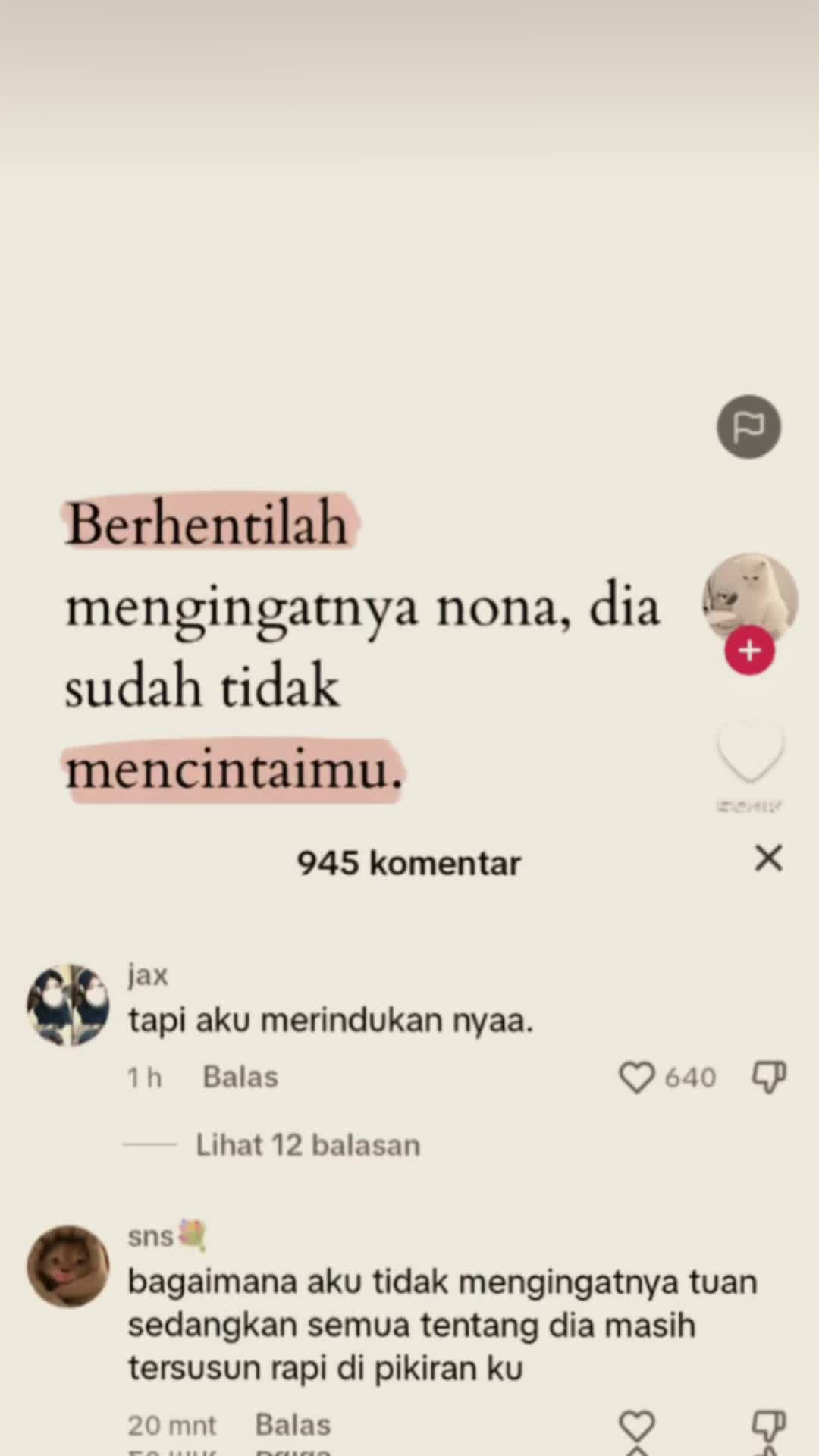 @Leo Capcut